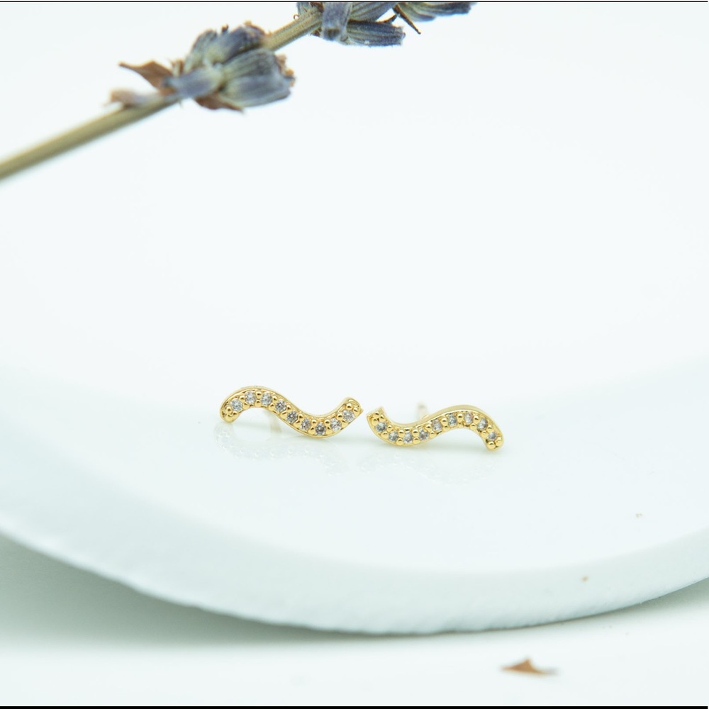 New Siizu Earrings